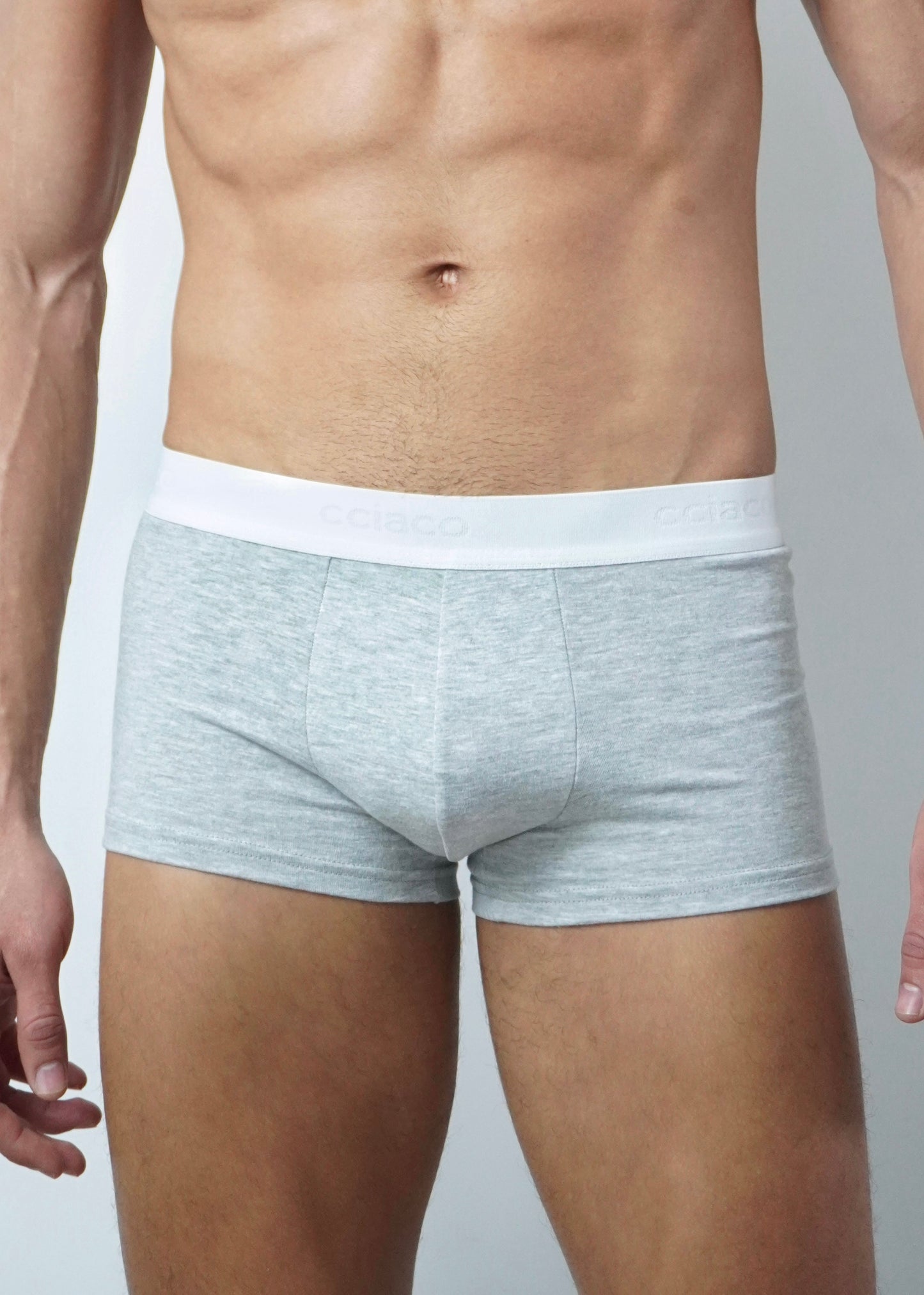 Boxer Trunk Classic Gray / White