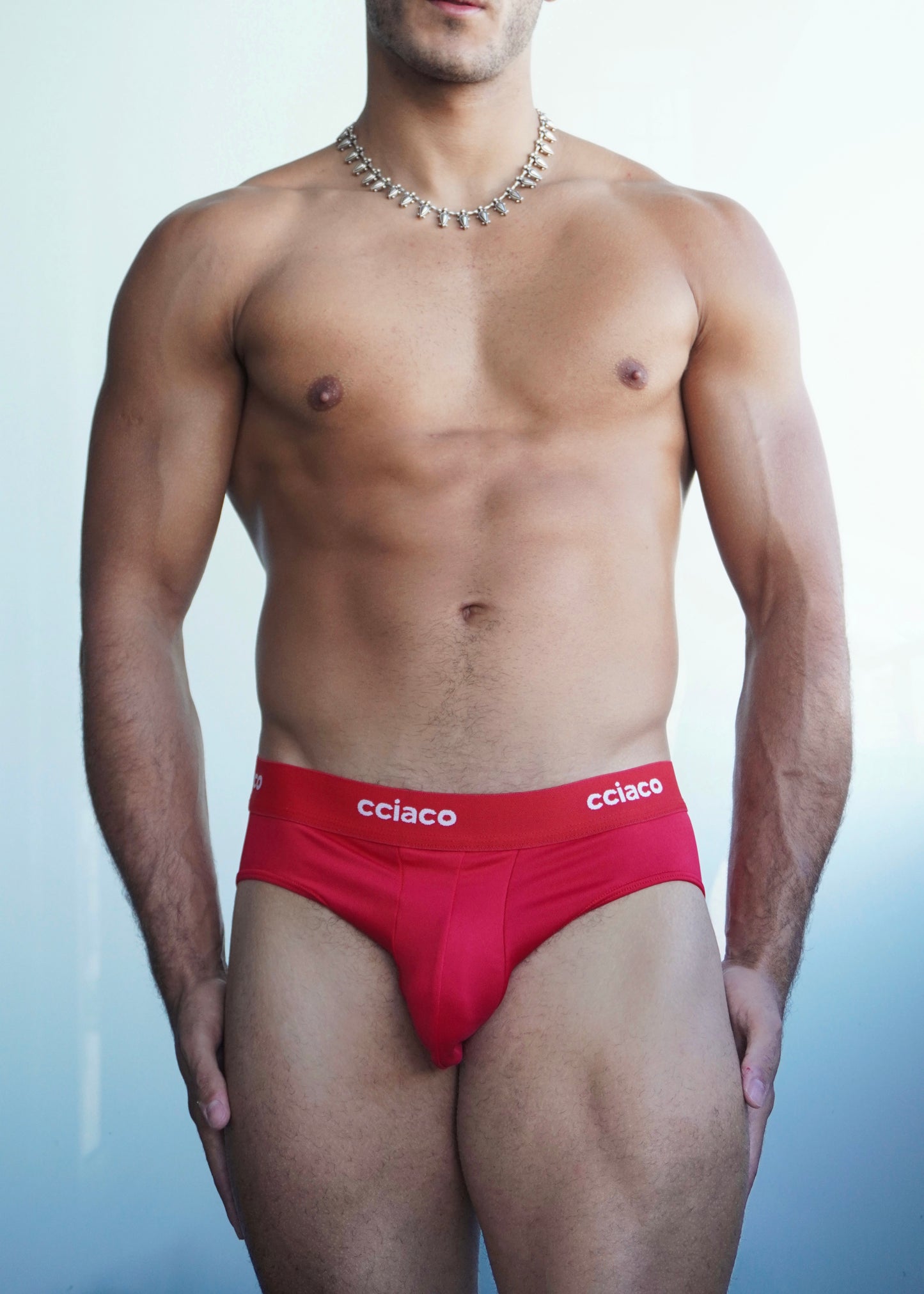 Brief Pulse Red - Microfiber